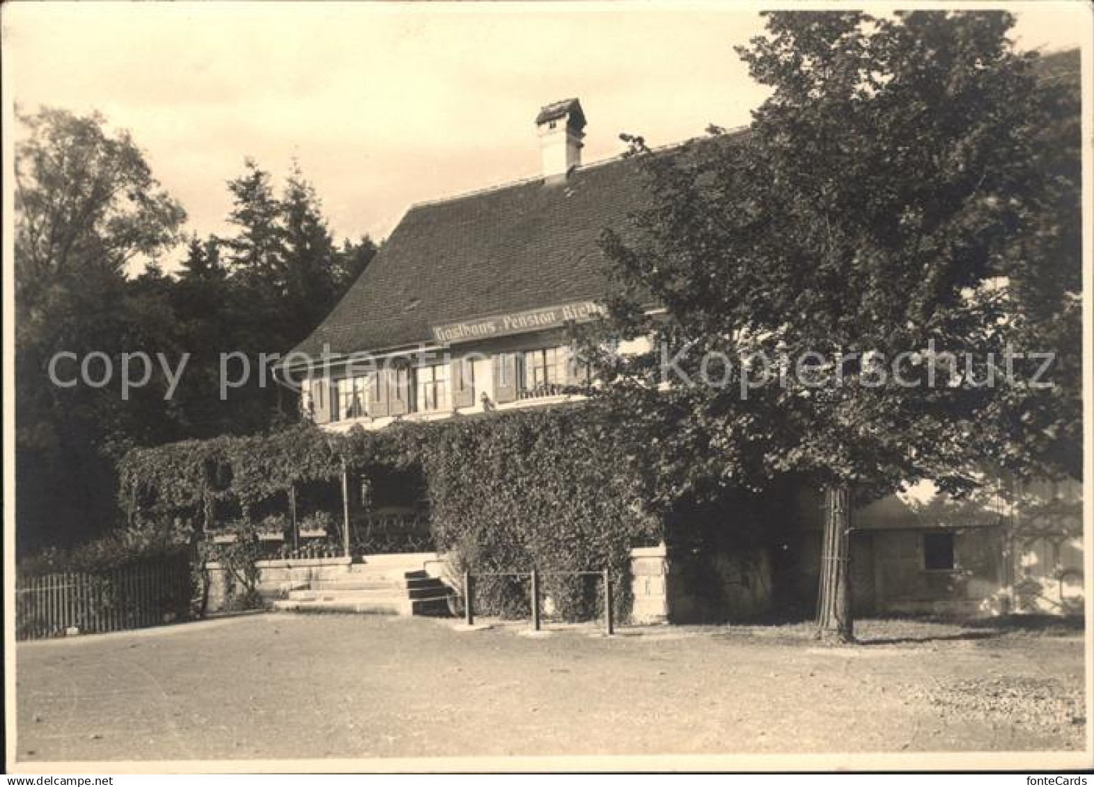 11629921 Goldach Rorschach Gasthaus Pension