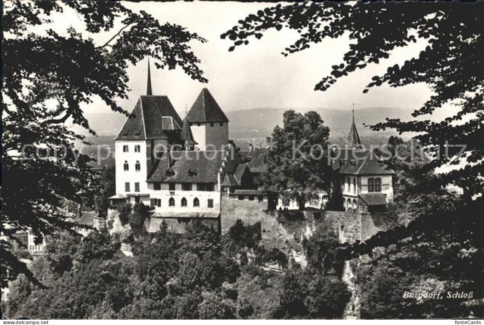 11639387 Burgdorf Bern Schloss Burgdorf