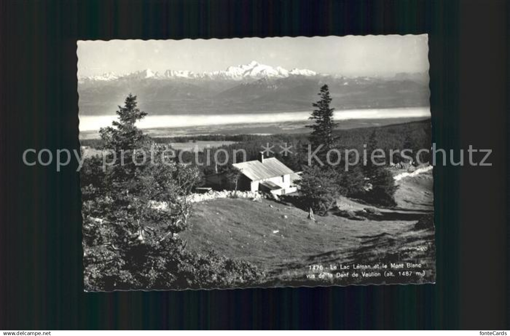 11644366 Vaulion Panorama Lac Leman Mont Blanc vu de la Dent du Vaulion Restaura