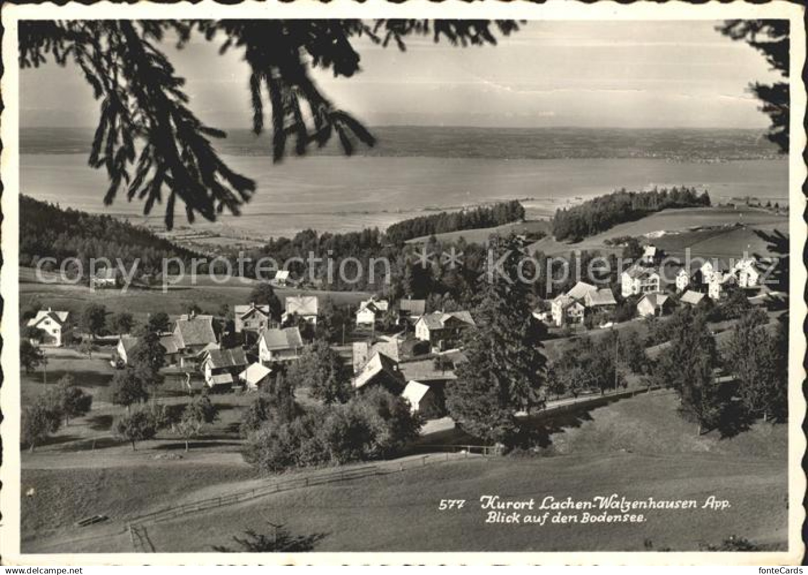 11644547 Lachen AR Panorama Blick auf den Bodensee Lachen AR