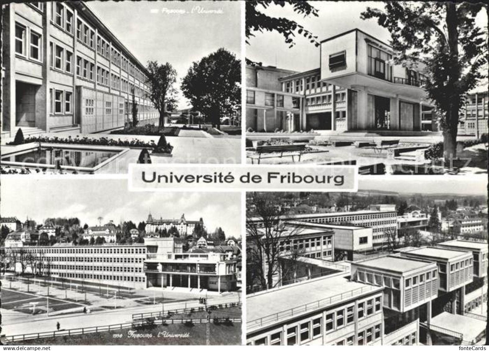 11646407 Fribourg FR Universite de Fribourg Details Fribourg