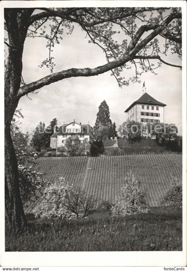 11648015 Gelfingen Schloss Heidegg Herrenhaus Kapelle