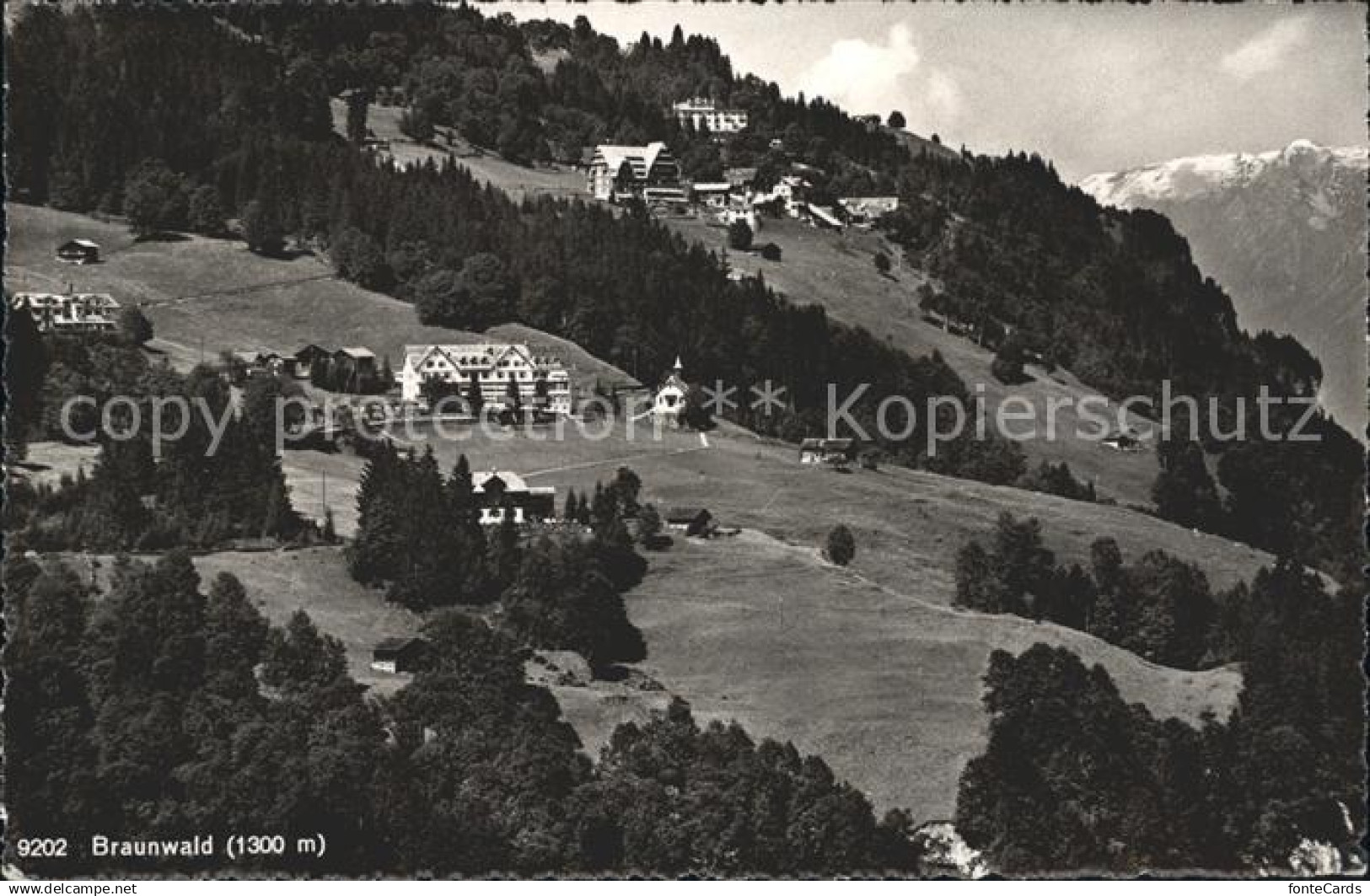 11653139 Braunwald GL  Braunwald