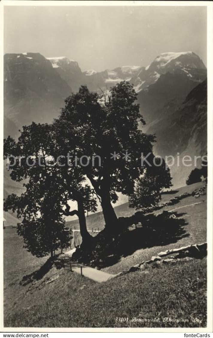 11653156 Braunwald GL  Braunwald