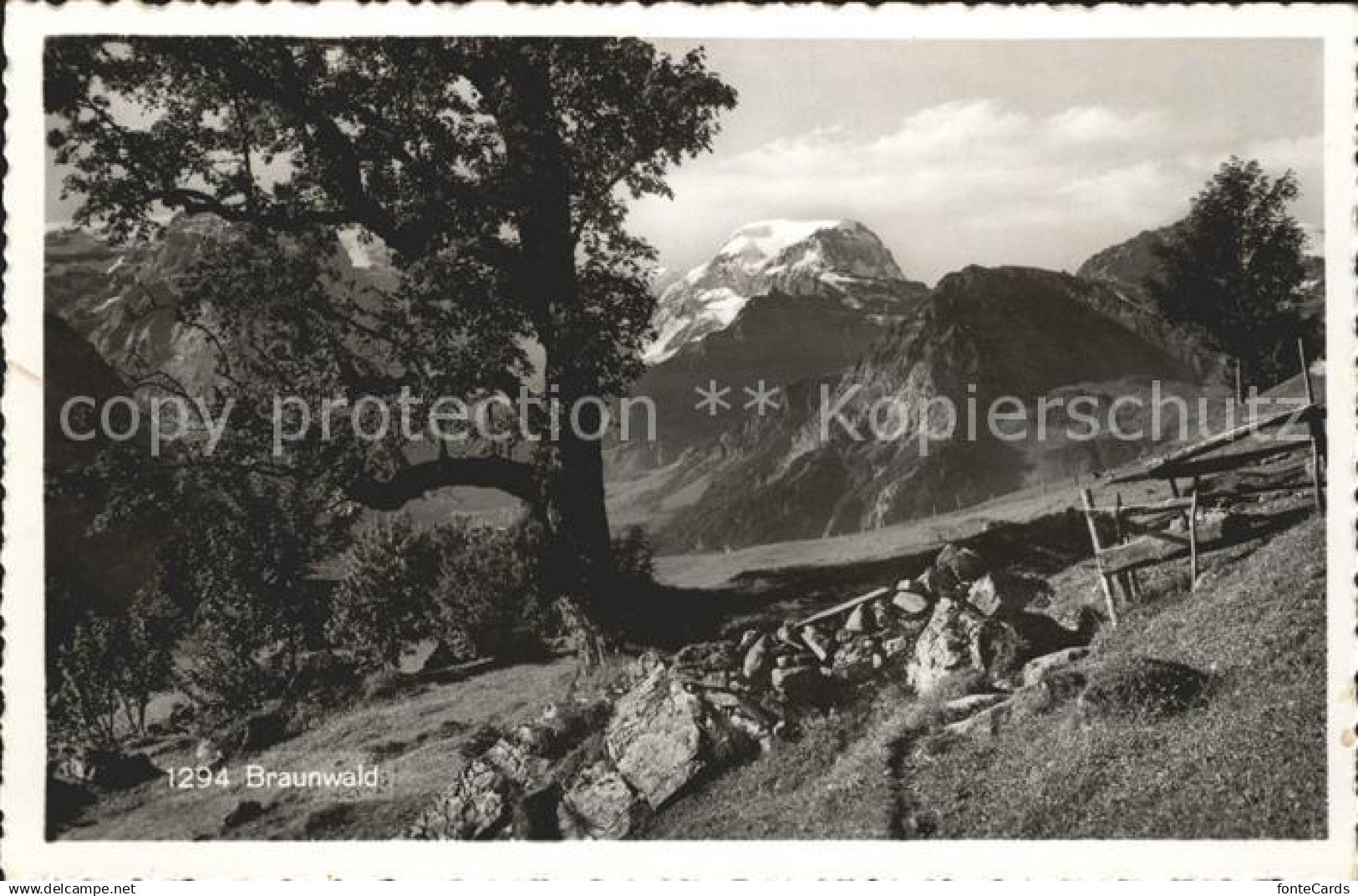 11653402 Braunwald GL  Braunwald