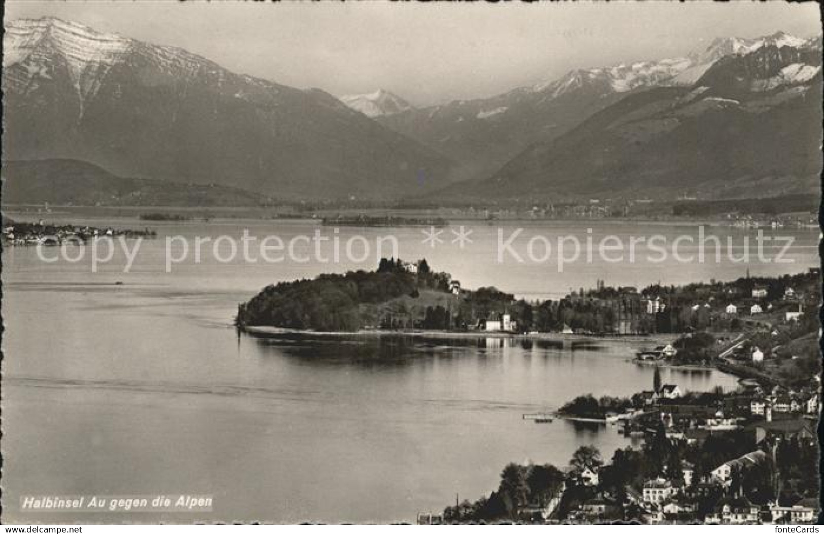 11659567 Au ZH Halbinsel Au mit Alpenpanorama