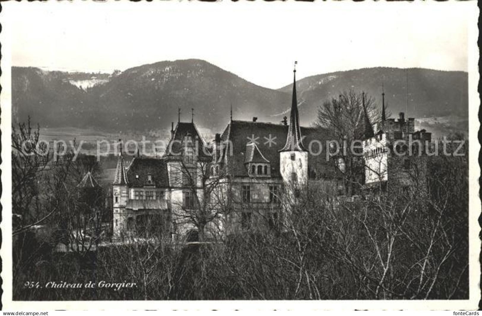 11664946 Gorgier Chateau de Corgier