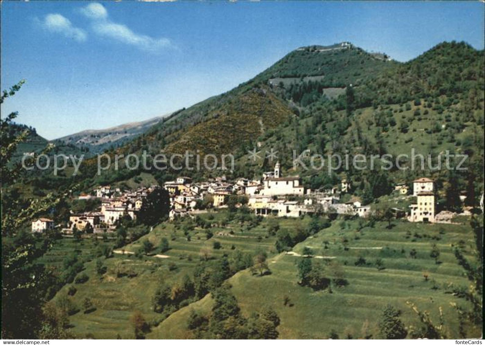 11694463 Muggio Panorama