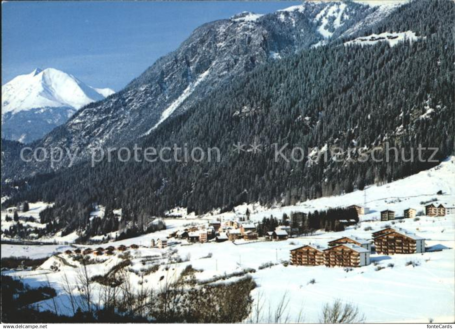 11694676 Cunter Oberhalbstein mit Lenzerhorn