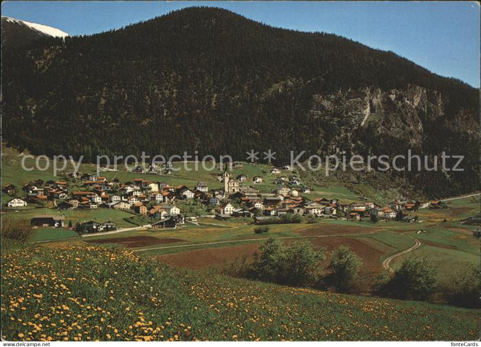 11703404 Alvaneu Dorf im Albulatal Alvaneu Dorf