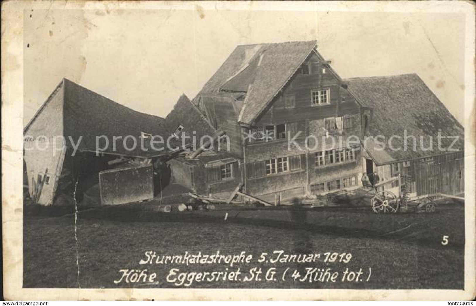 11706904 Eggersriet Sturmkatastrophe