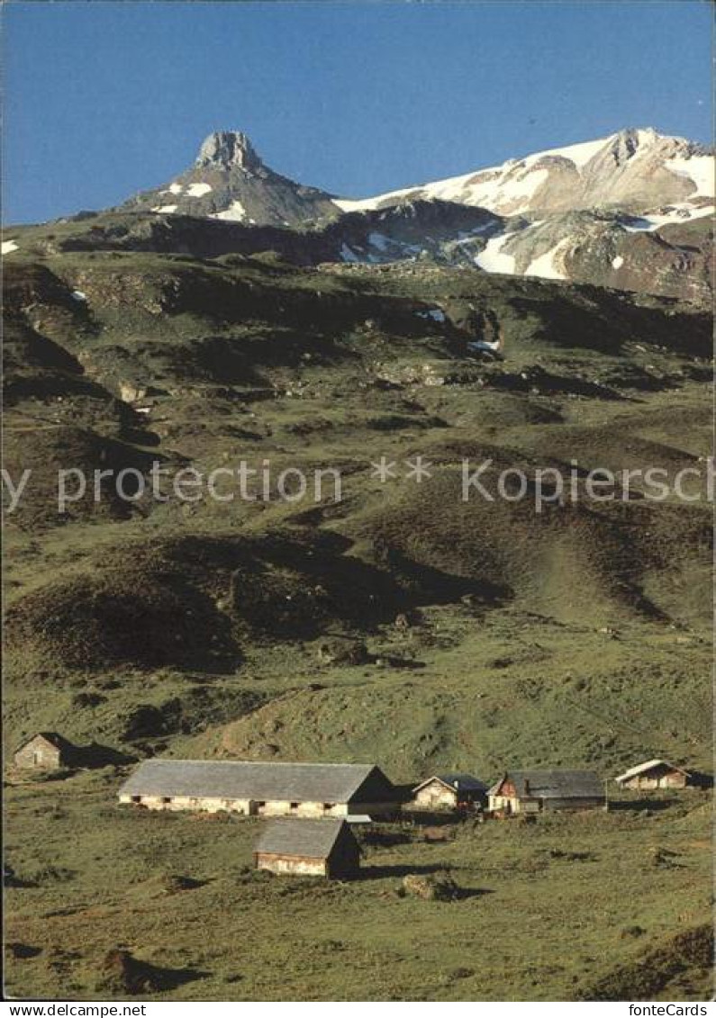 11713205 Flumserberg Bergheim mit Spitzmeilen und Wissmilen Bergheim