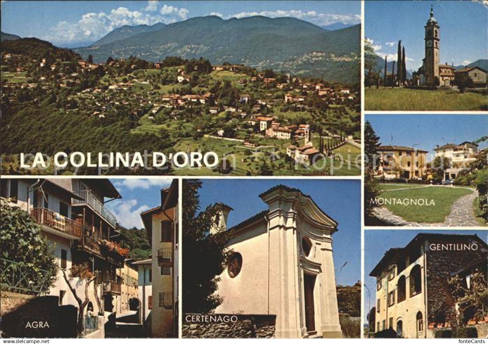 11718758 Collina d Oro Panorama mit Agra Certenago Montagnola und Gentilino