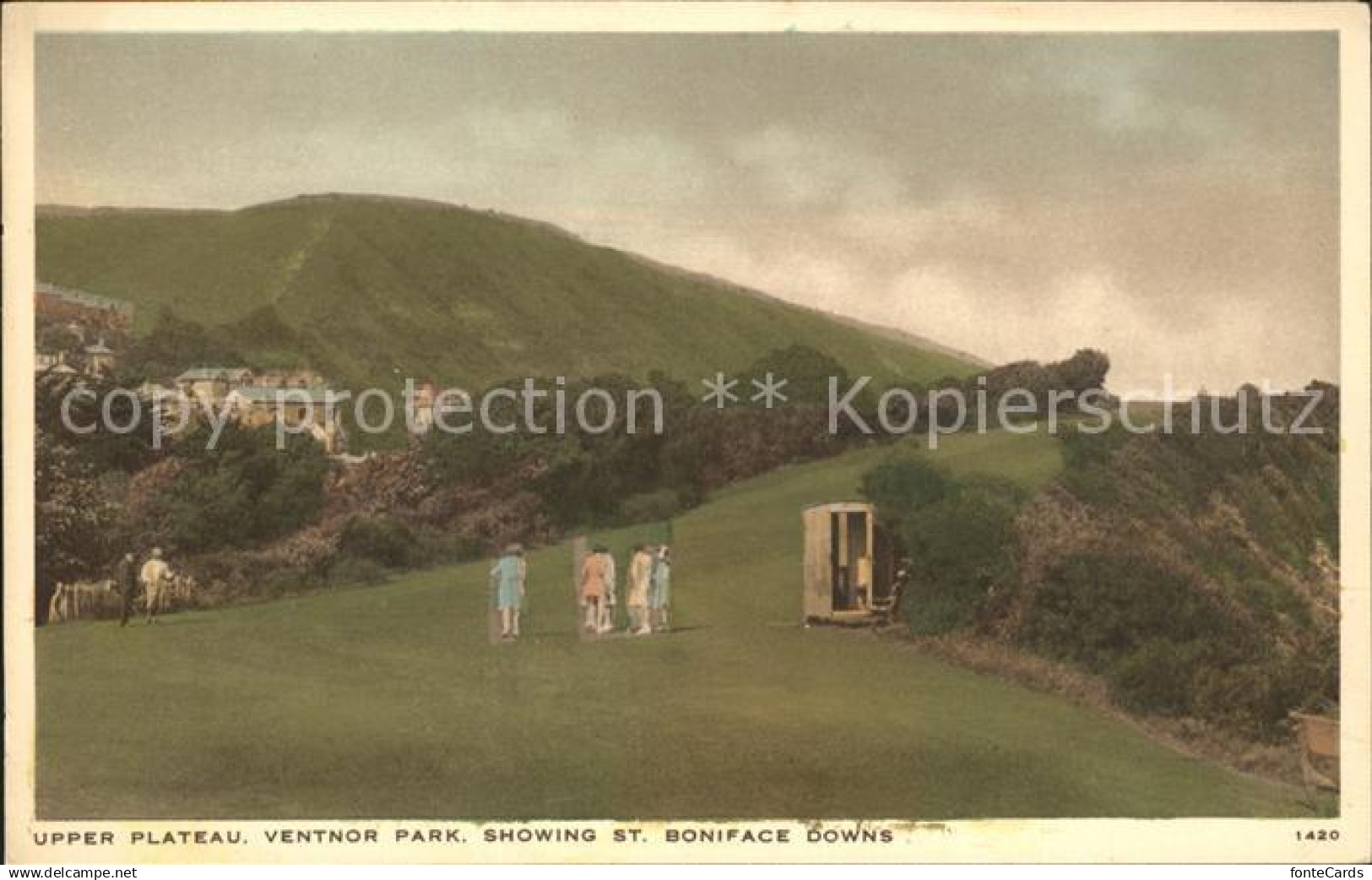 11732594 Ventnor Isle of Wight Upper Plateau Ventnor Park St. Boniface Downs