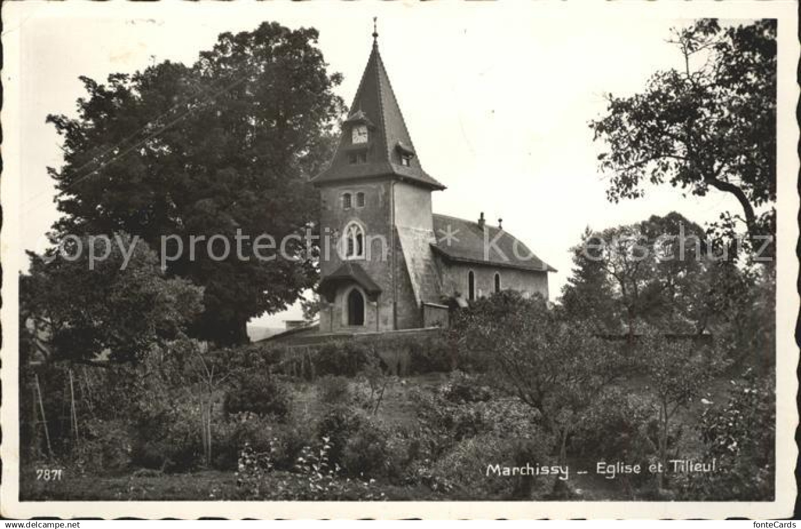 11733693 Marchissy Eglise et Tilleul