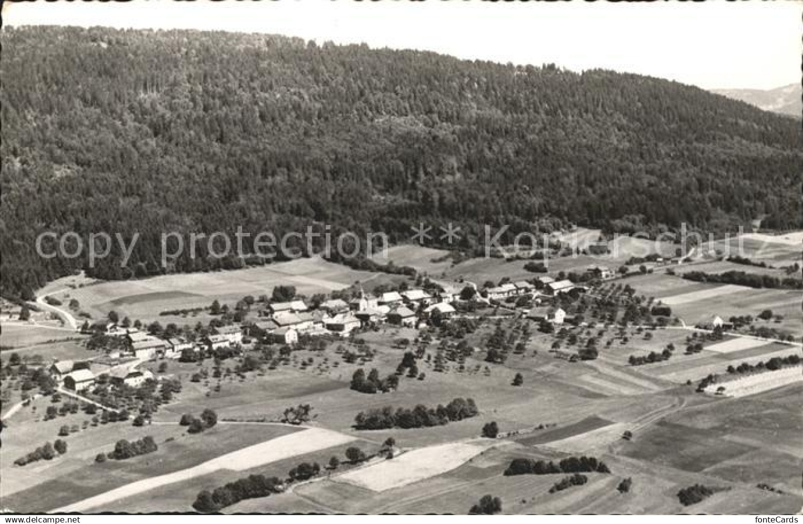 11736206 La Praz Vue aerienne