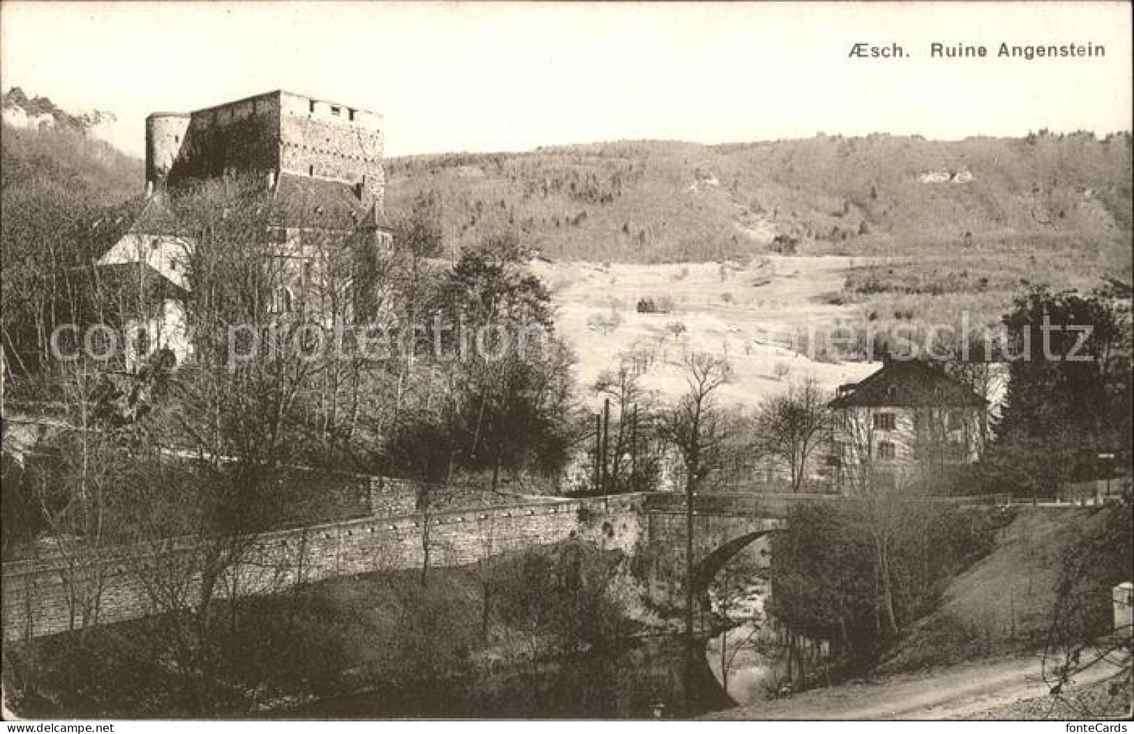 11739269 Aesch BL Ruine Angenstein Aesch BL