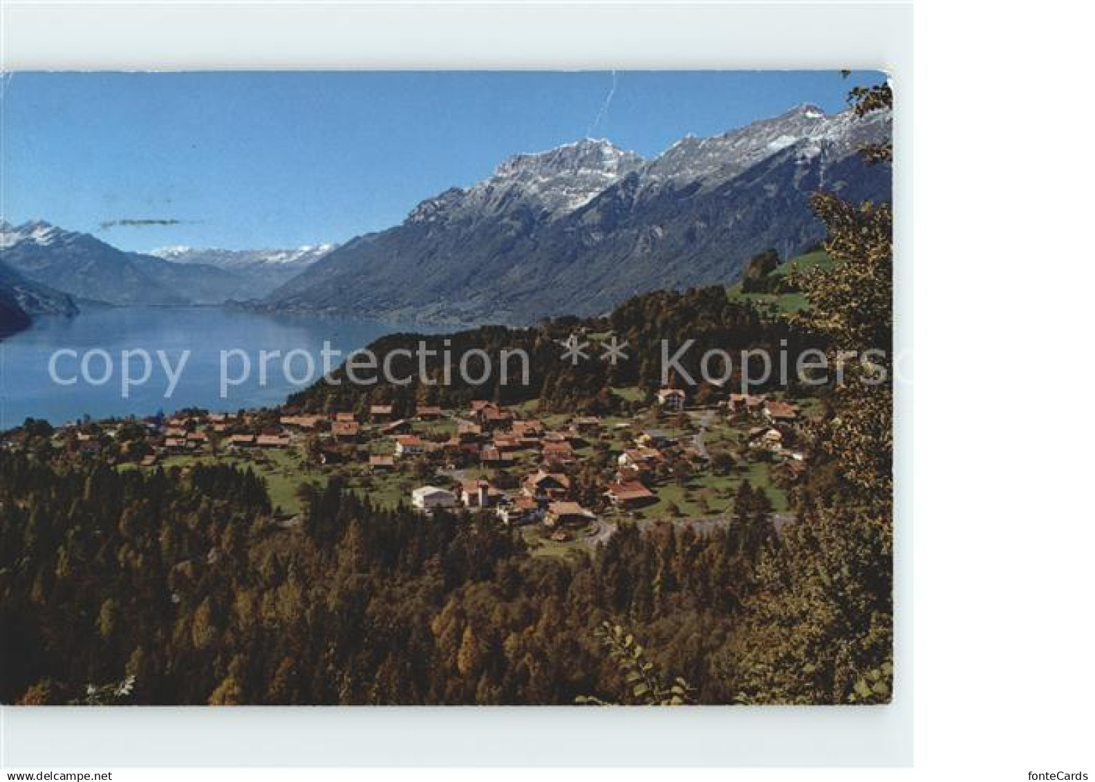 11748598 Schwanden Brienz Brienzersee Brienzergrat