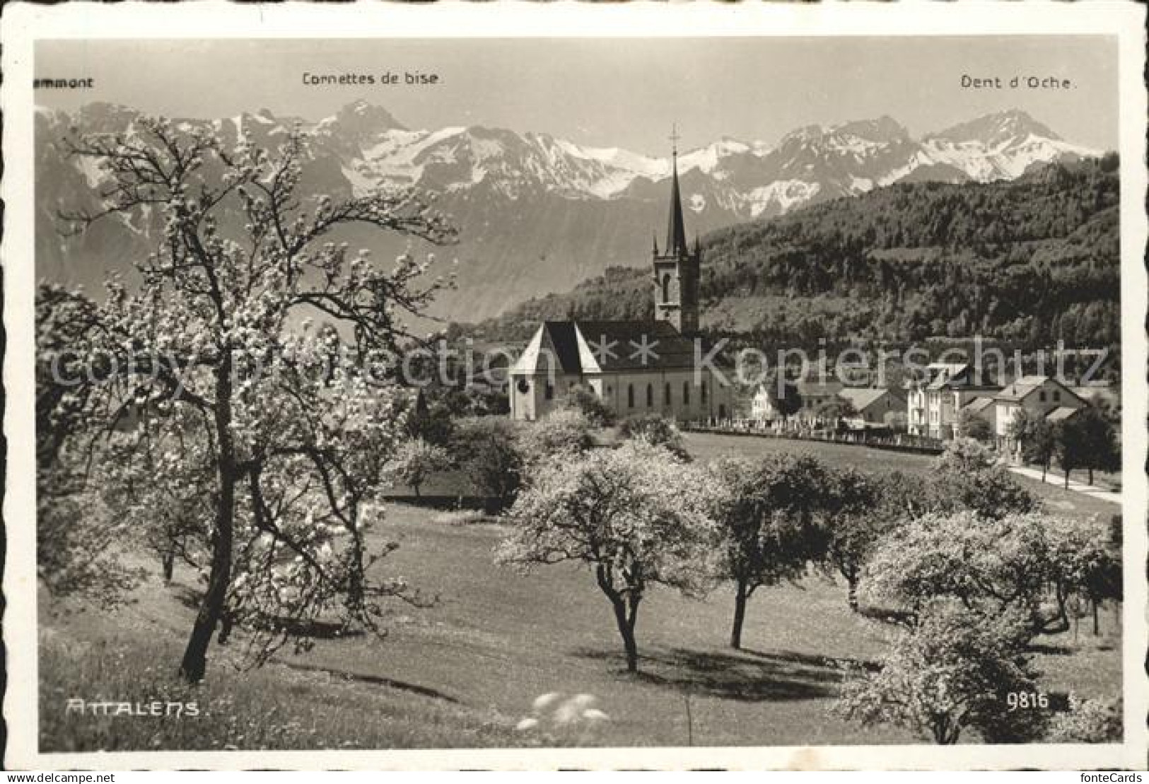 11757175 Attalens Kirche Alpenpanorama