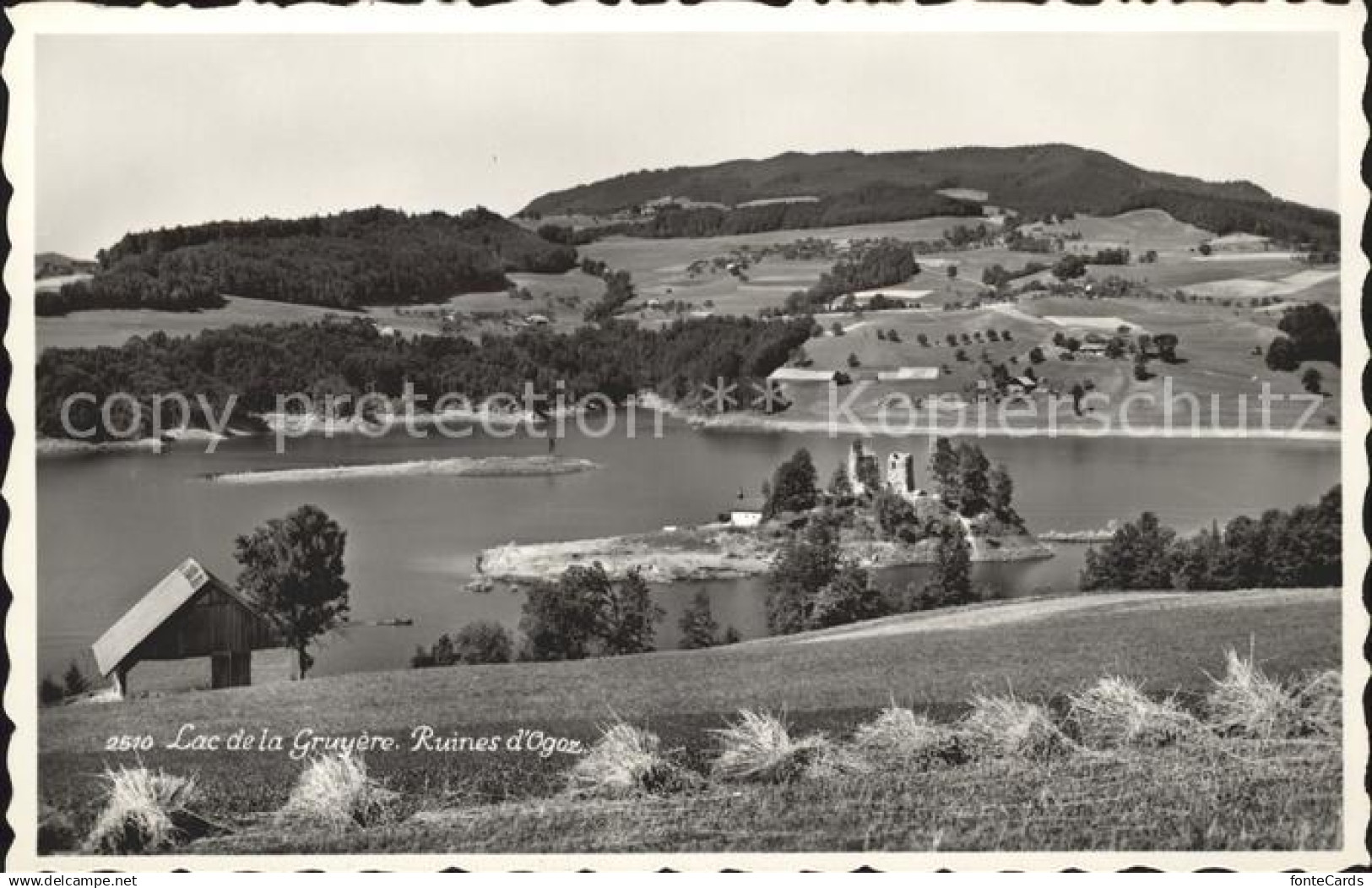 11757543 Gruyeres FR Lac de la Gruyere Ruines d Ogoz