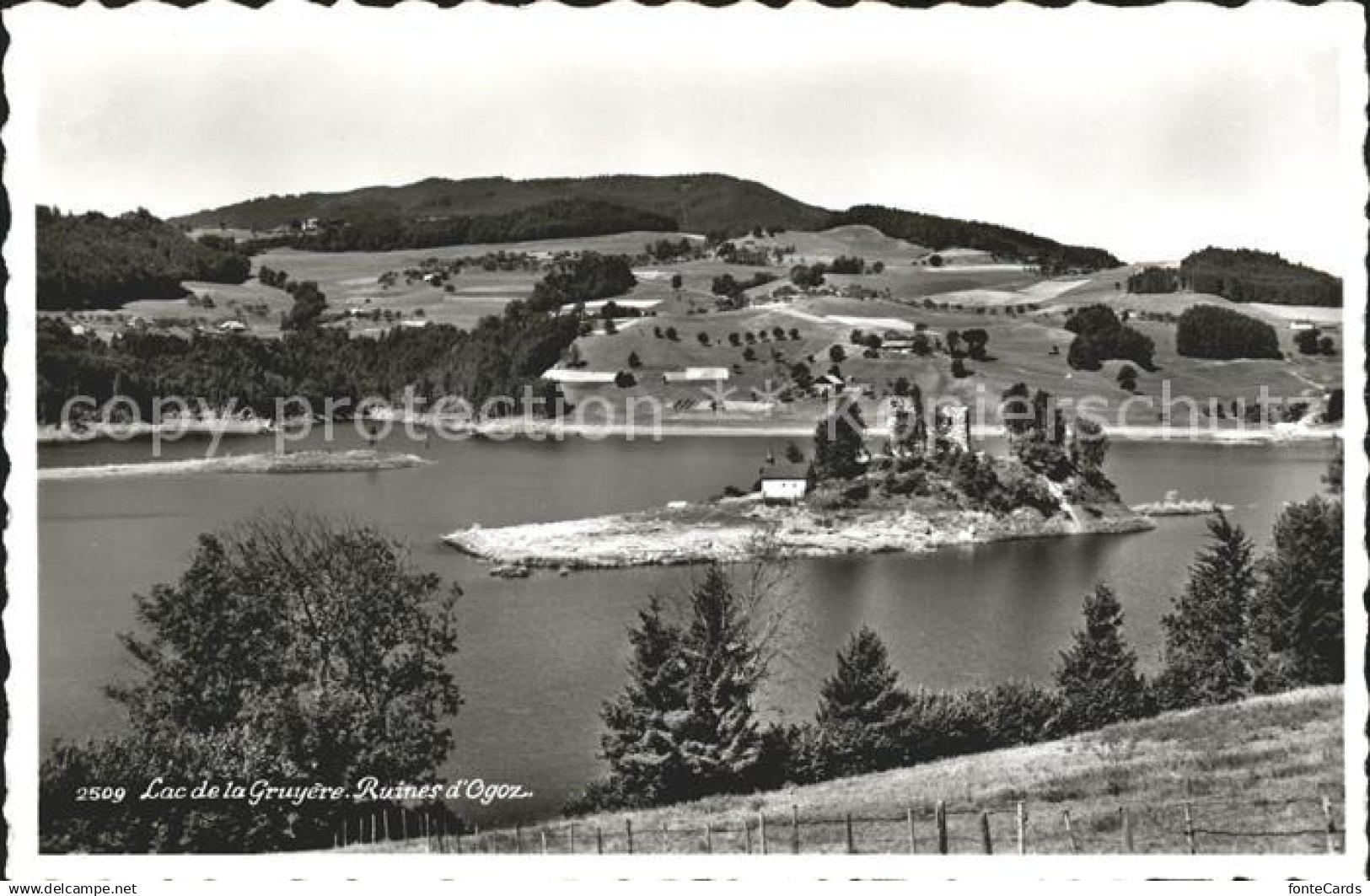 11757551 Gruyeres FR Lac de la Gruyere Ruines d Ogoz