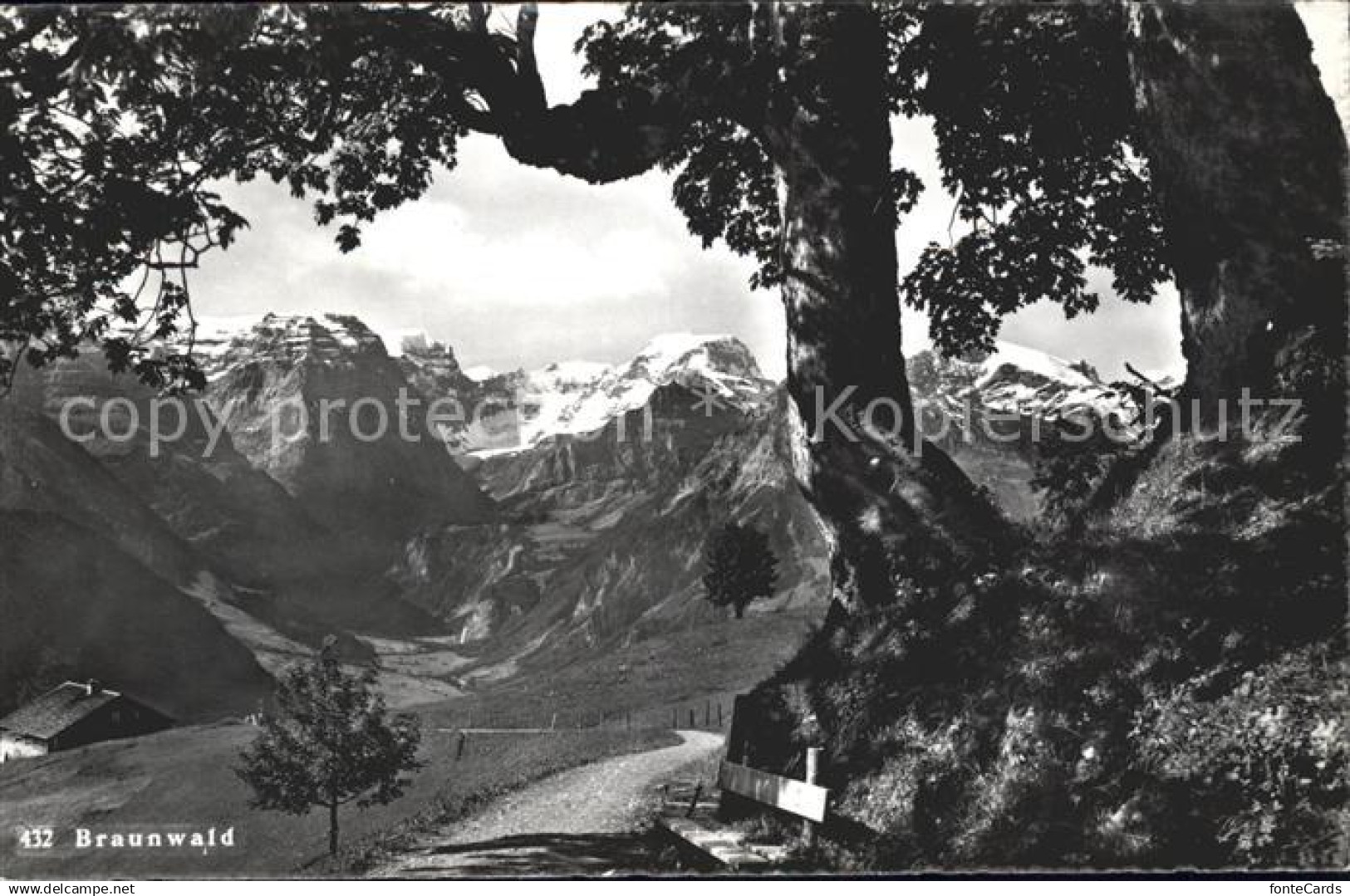 11758682 Braunwald GL  Braunwald