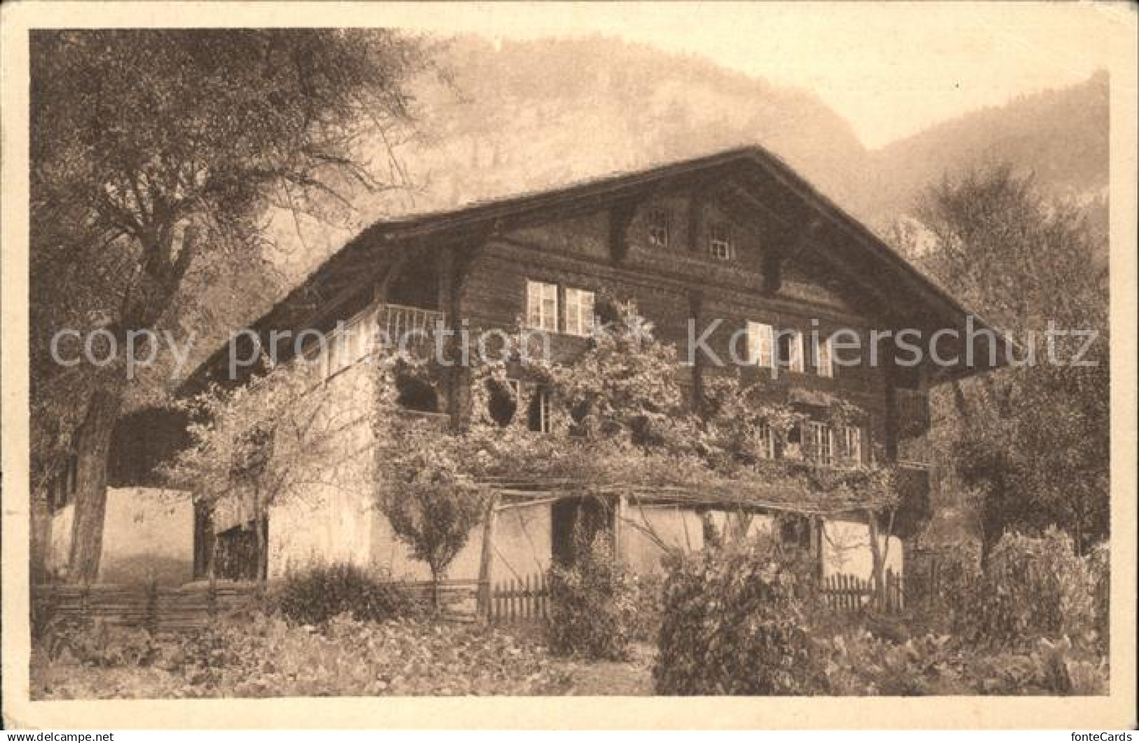 11770493 Brienzwiler Schweizer Bauernhaus Brienzwiler