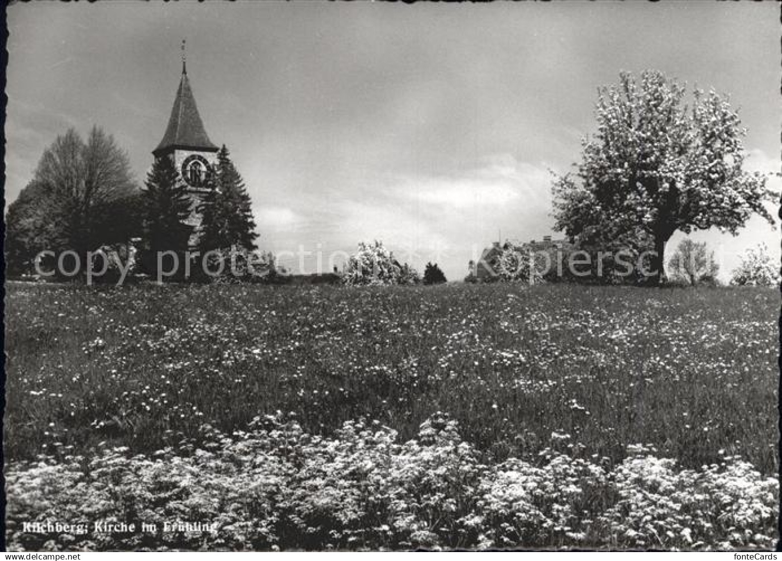 11849228 Kilchberg ZH Kirche  Kilchberg