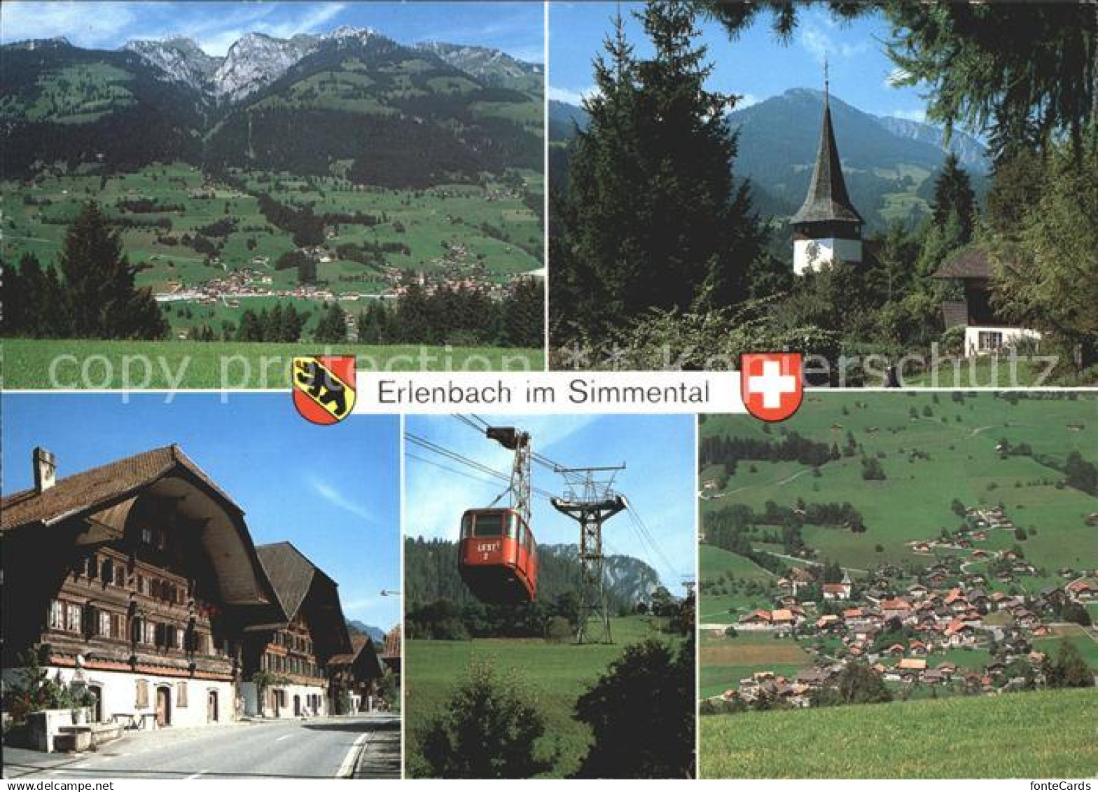 11852682 Erlenbach Simmental