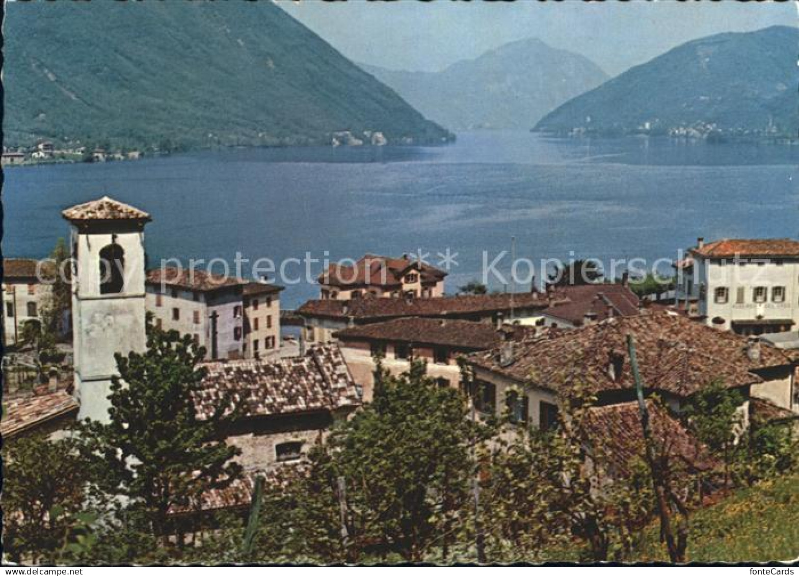 11880586 Capolago Lago di Lugano Panorama