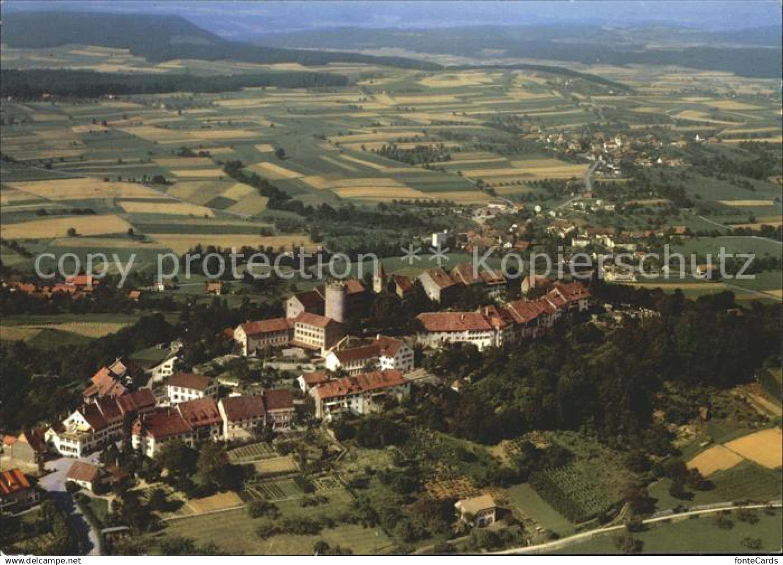 11887101 Regensberg Dielsdorf Fliegeraufnahme