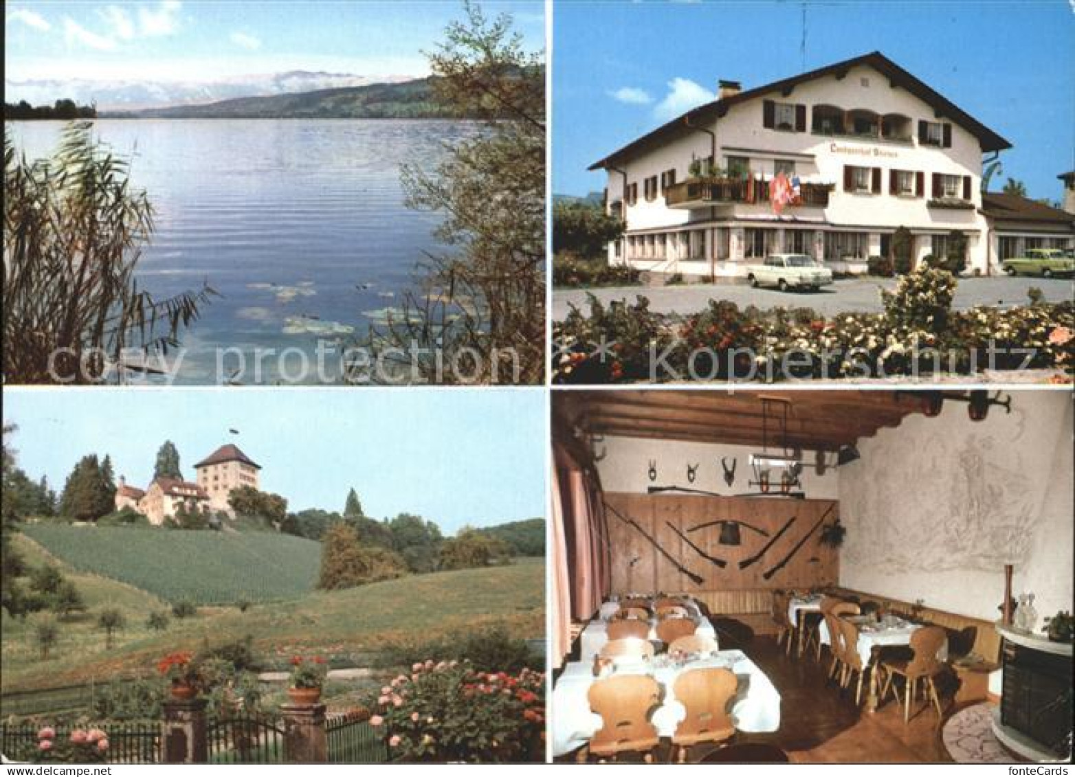 11889945 Gelfingen Landgasthof Sternen am Baldeggersee Gastraum