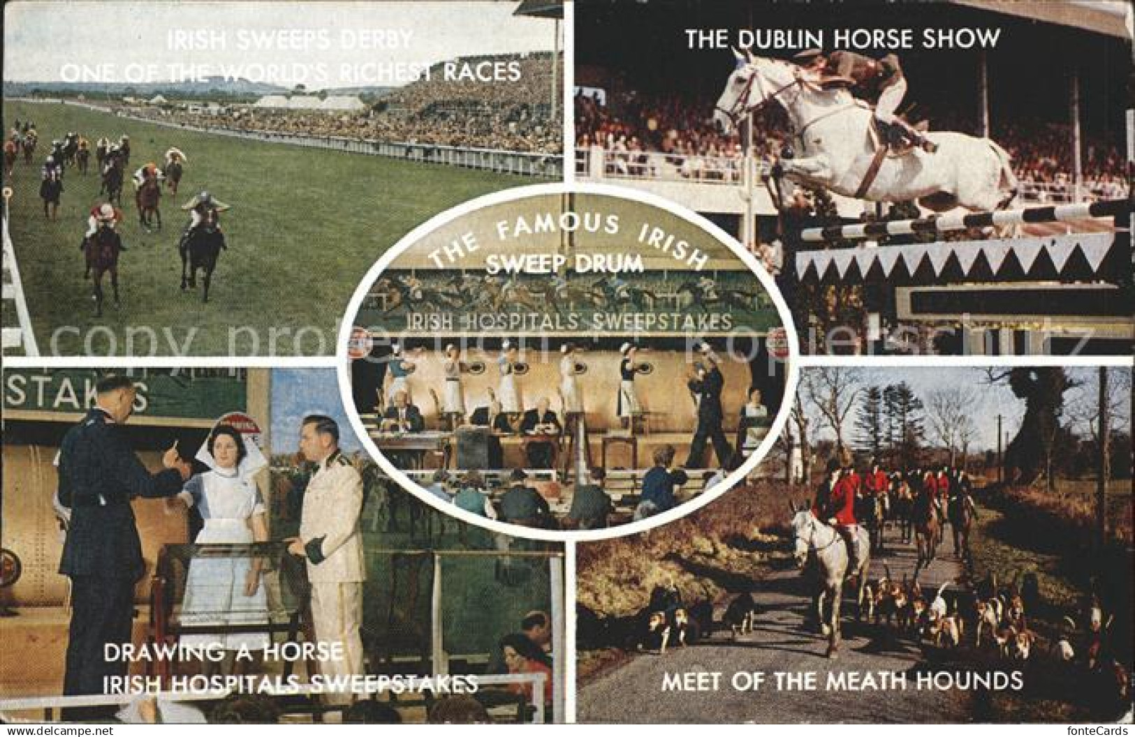 11966399 Dublin Ireland Irish Sweeps Derby Horse Show Drawing a Horse Irish Hosp