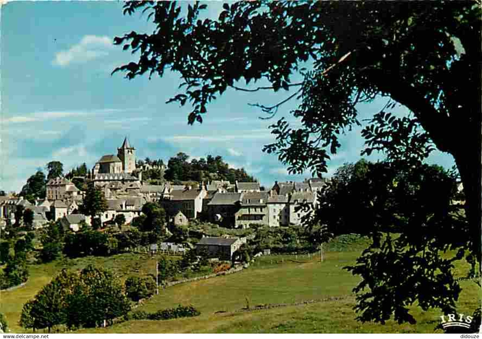 12 - Laguiole - Vue Générale - CPM - Voir Scans Recto-Verso