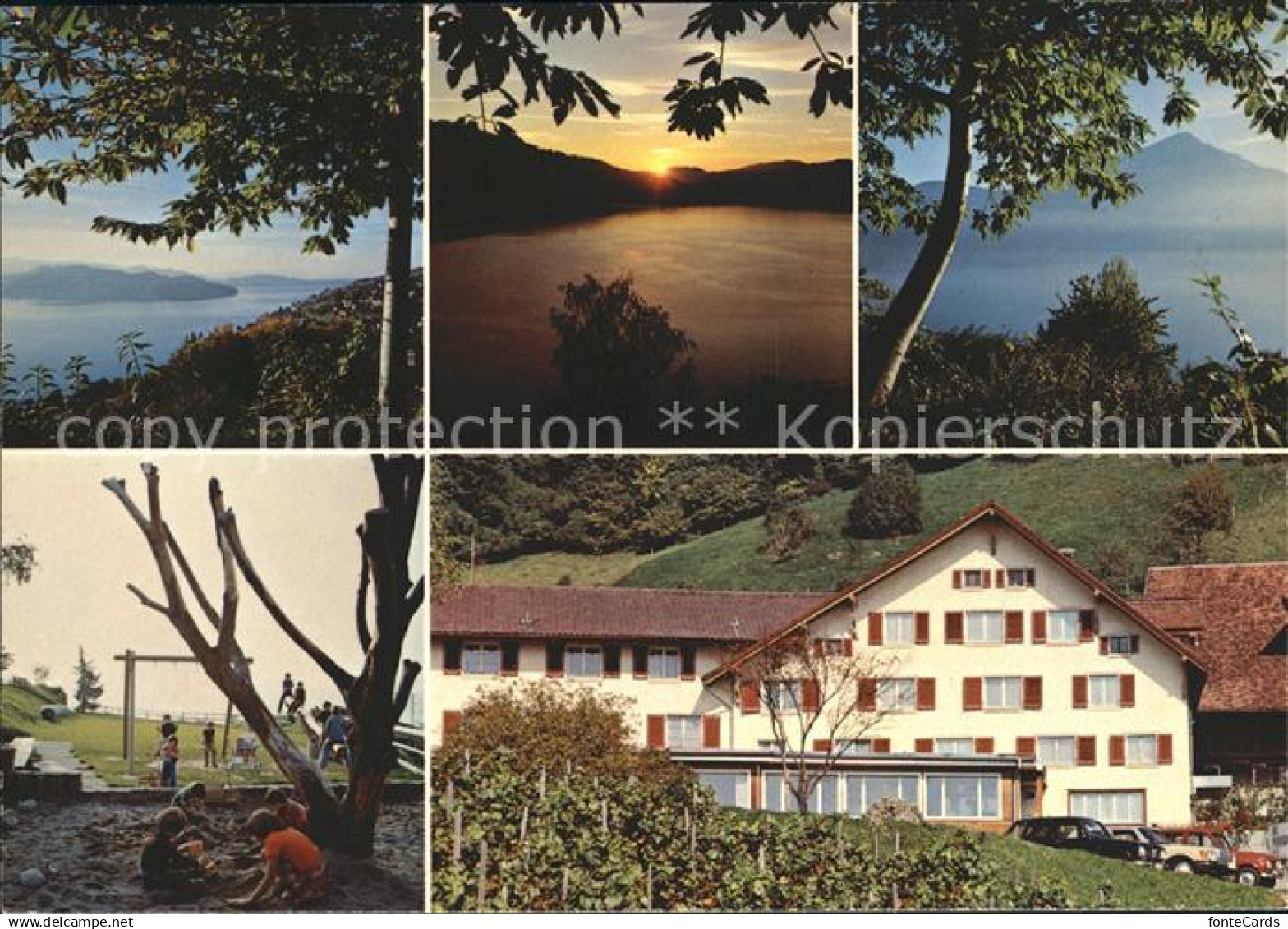 12002371 Walchwil Hotel Pension Aesch Walchwil