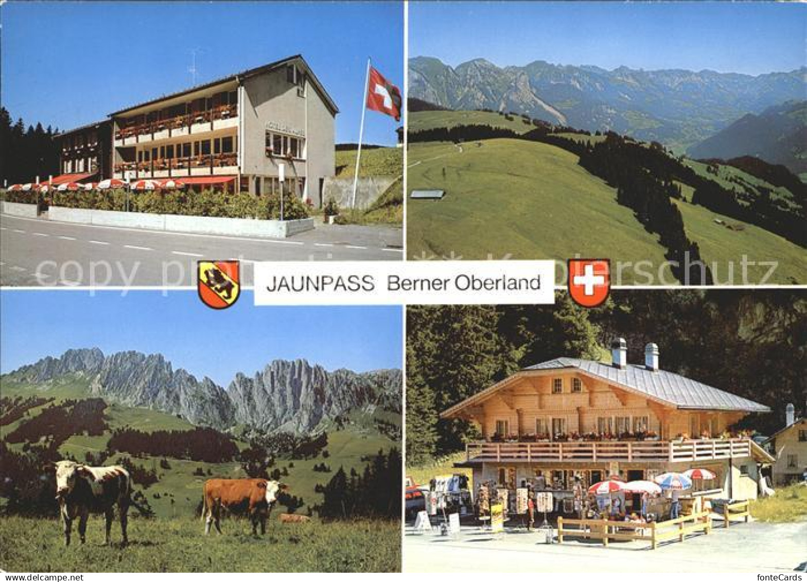 12004430 Jaun Boltigen Hotel Simmental Gastlosen Kiosk Bazar