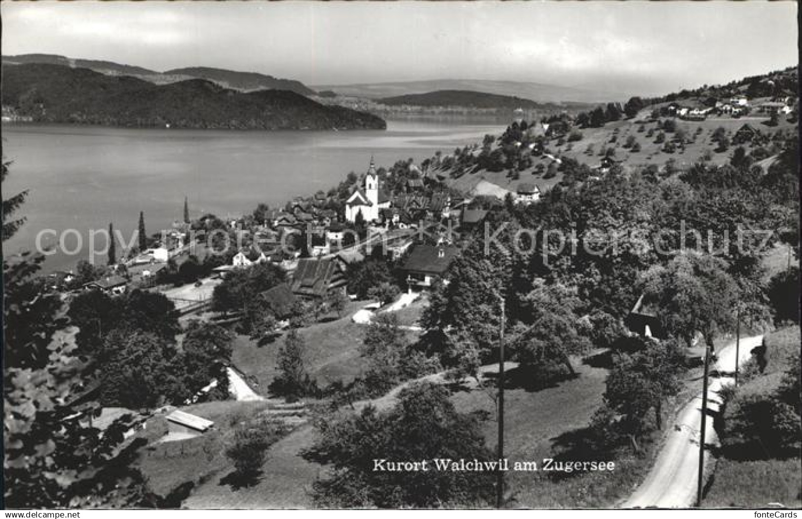 12011122 Walchwil am Zugersee Panorama Walchwil