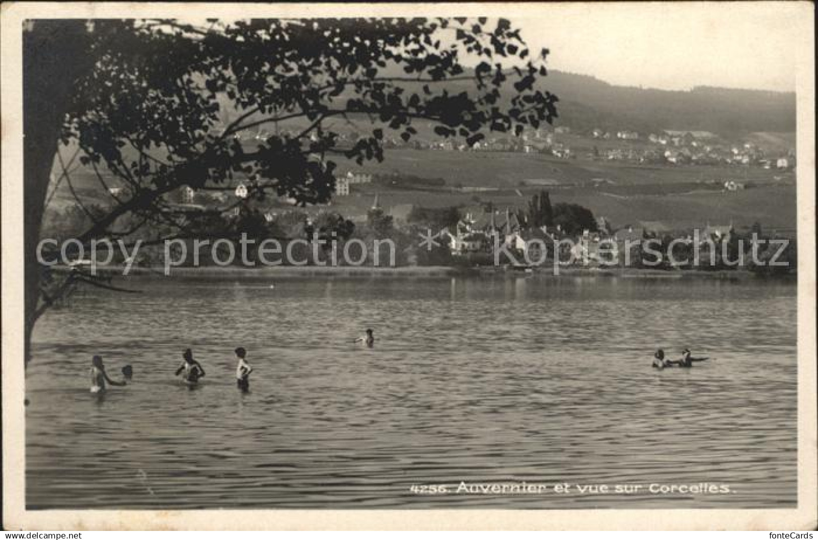 12013891 Auvernier et vue sur Corcelles Lac de Neuchatel