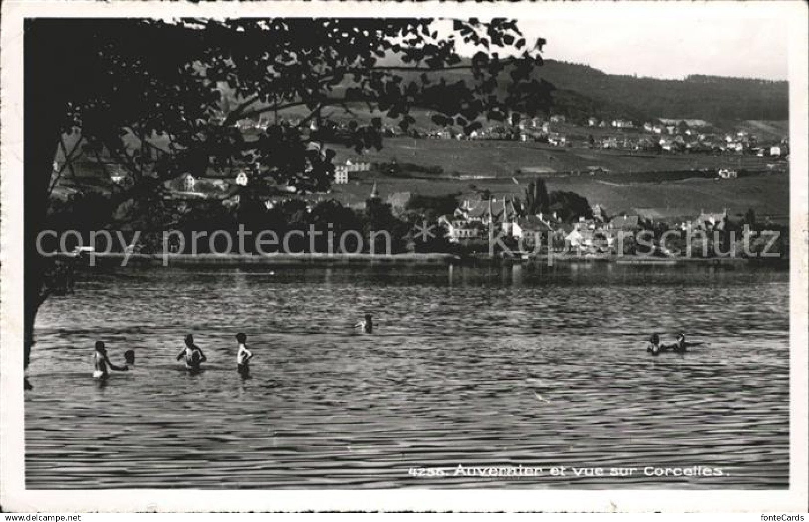 12015062 Auvernier et vue sur Corcelles Lac de Neuchatel