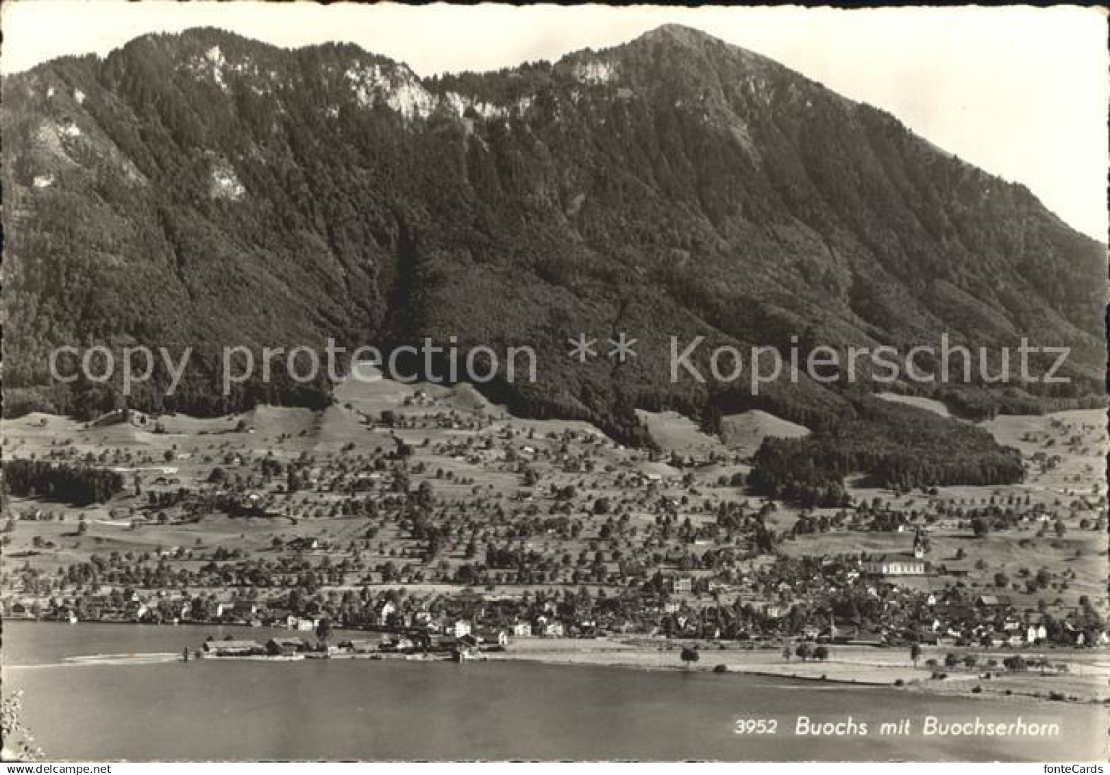 12044428 Buochs Vierwaldstaettersee Buochserhorn Buochs