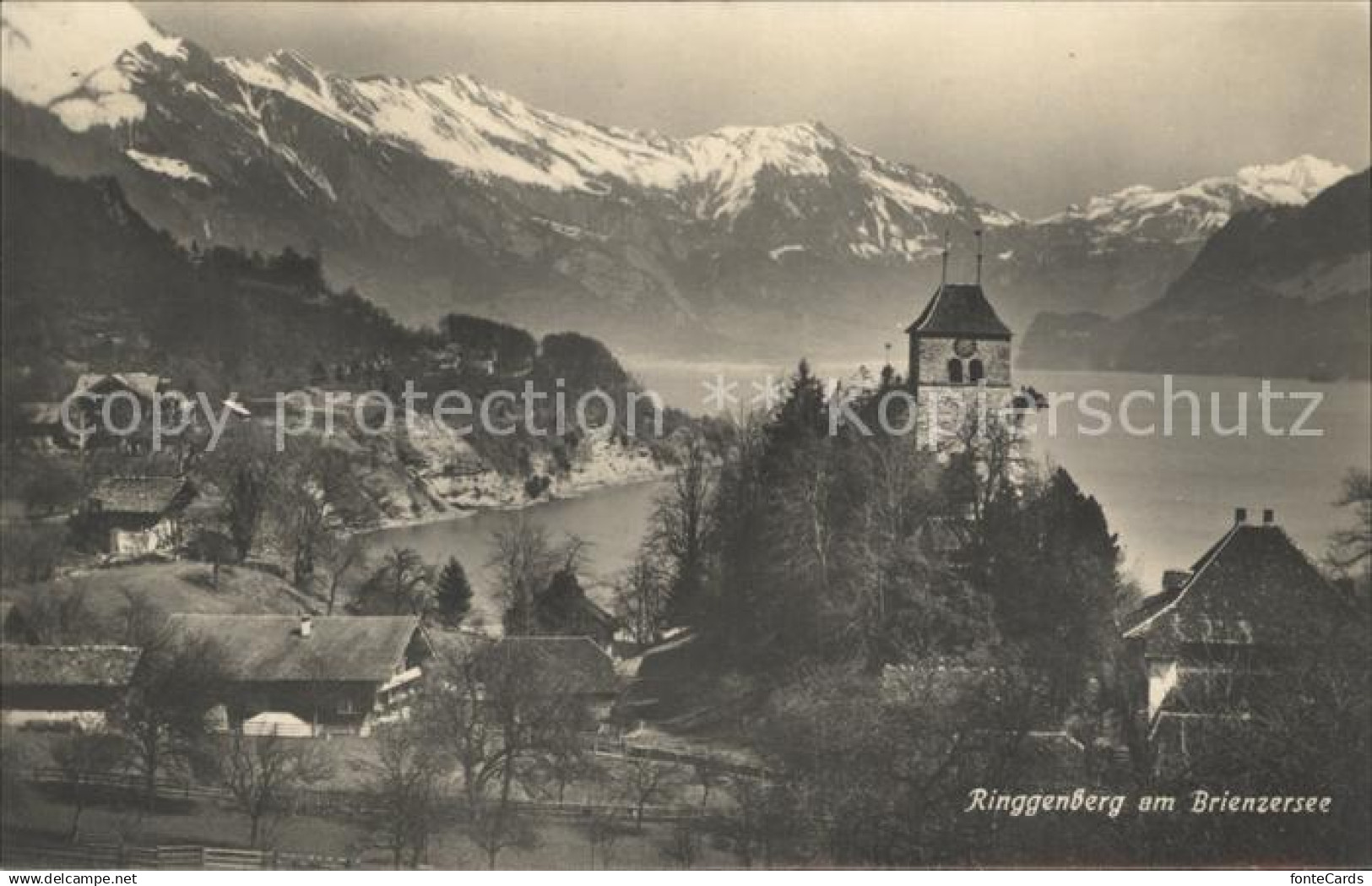 12175417 Ringgenberg Brienzersee