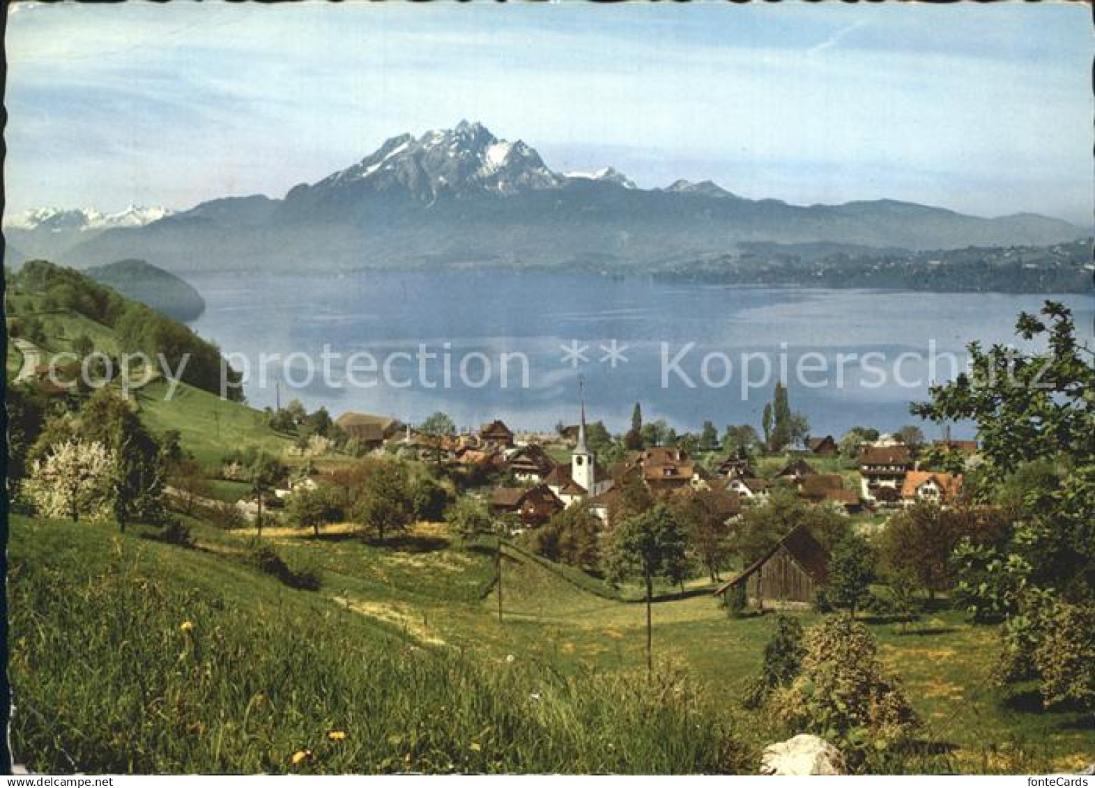 12245261 Greppen Vierwaldstaettersee