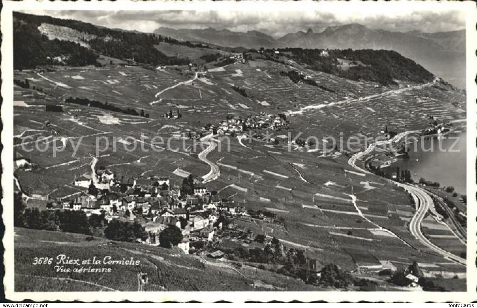 12324195 Riex et la Corniche vue aerienne