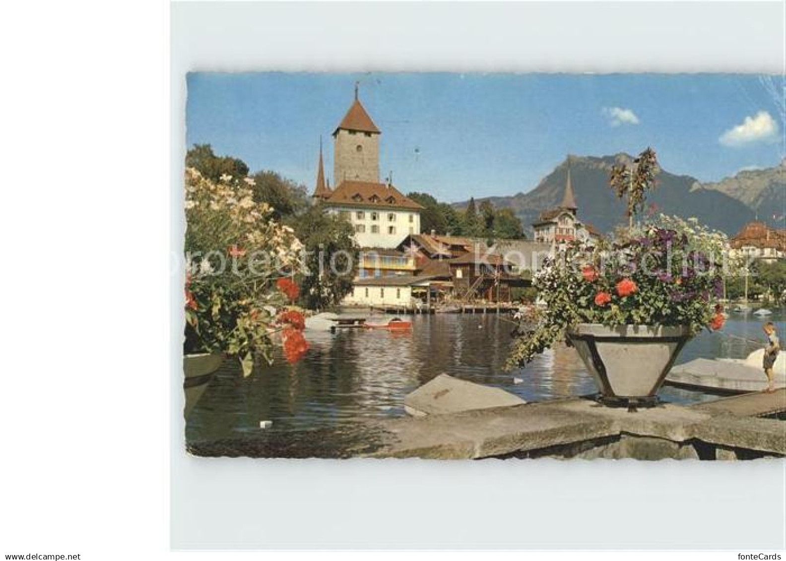 12329362 Spiez BE Teilansicht Spiez