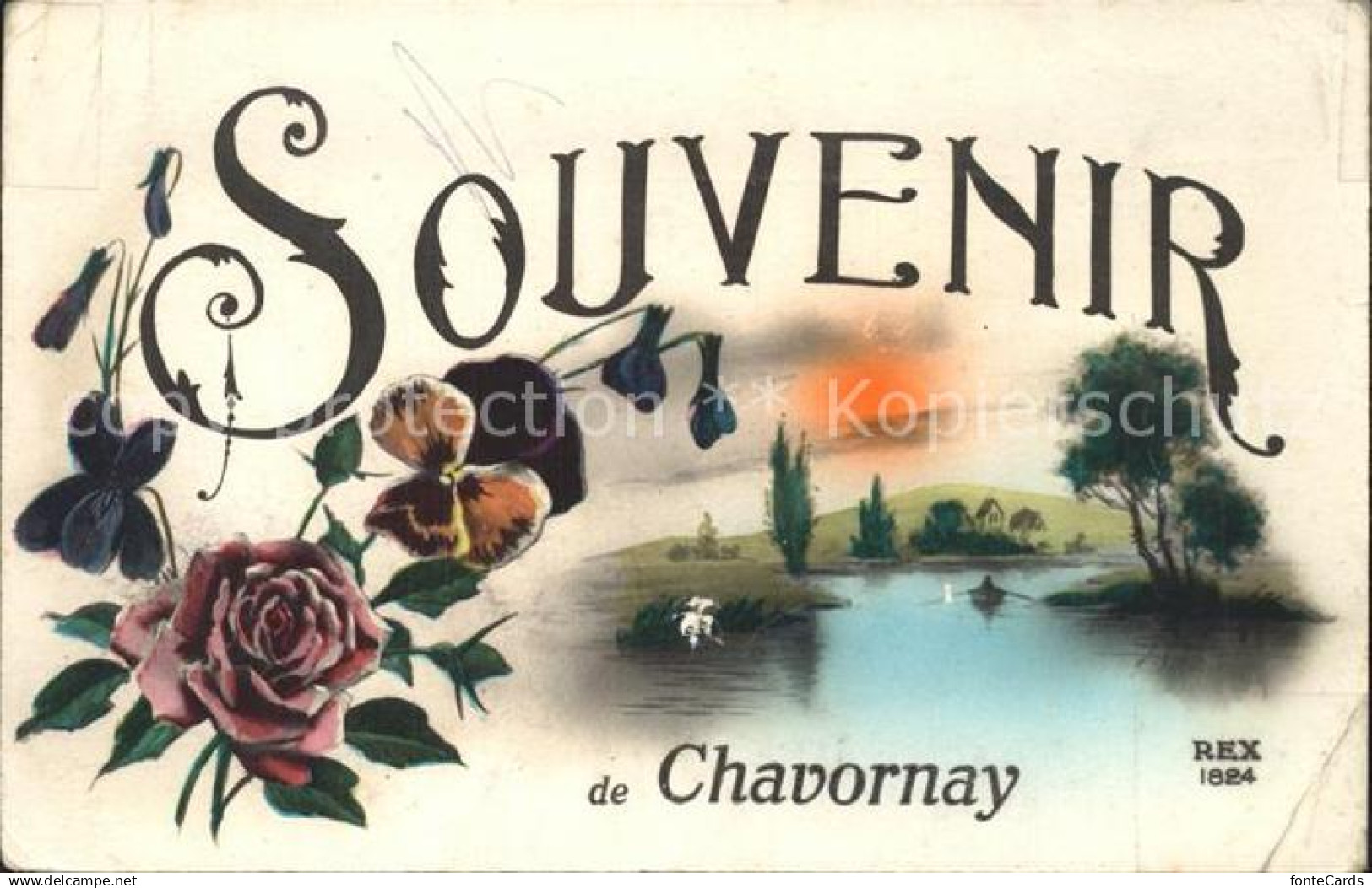 12339992 Chavornay Orbe Blumen