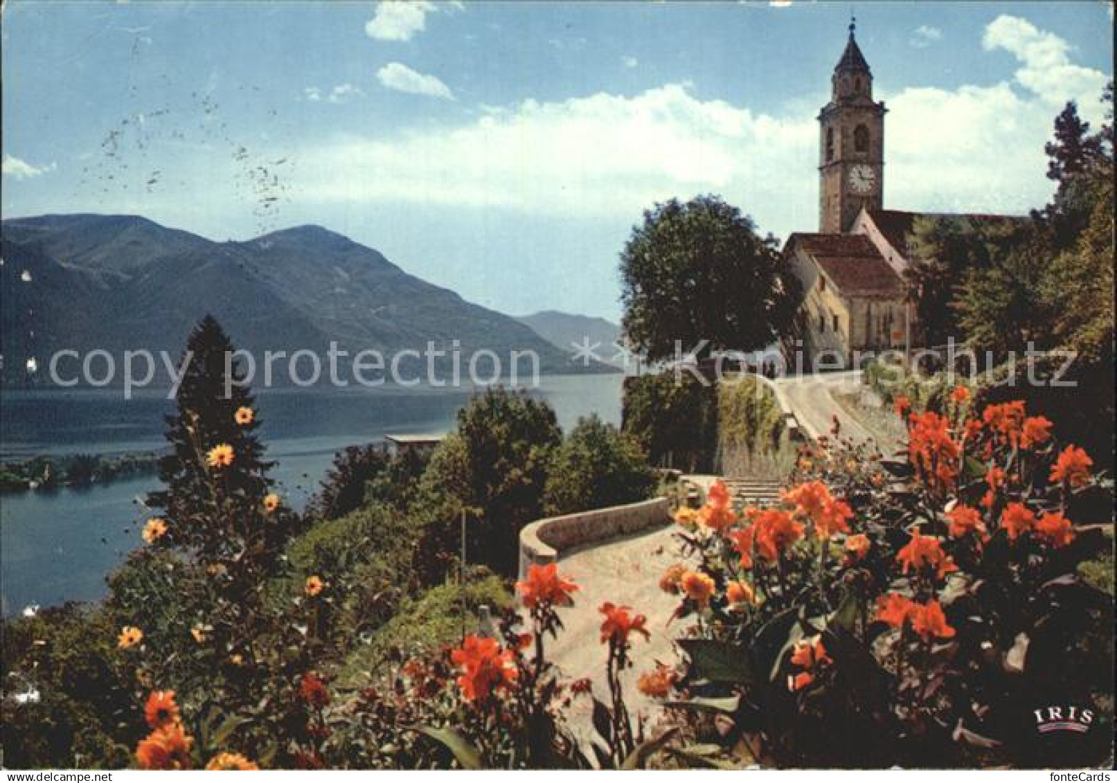 12354455 Ronco sopra Ascona Kirche