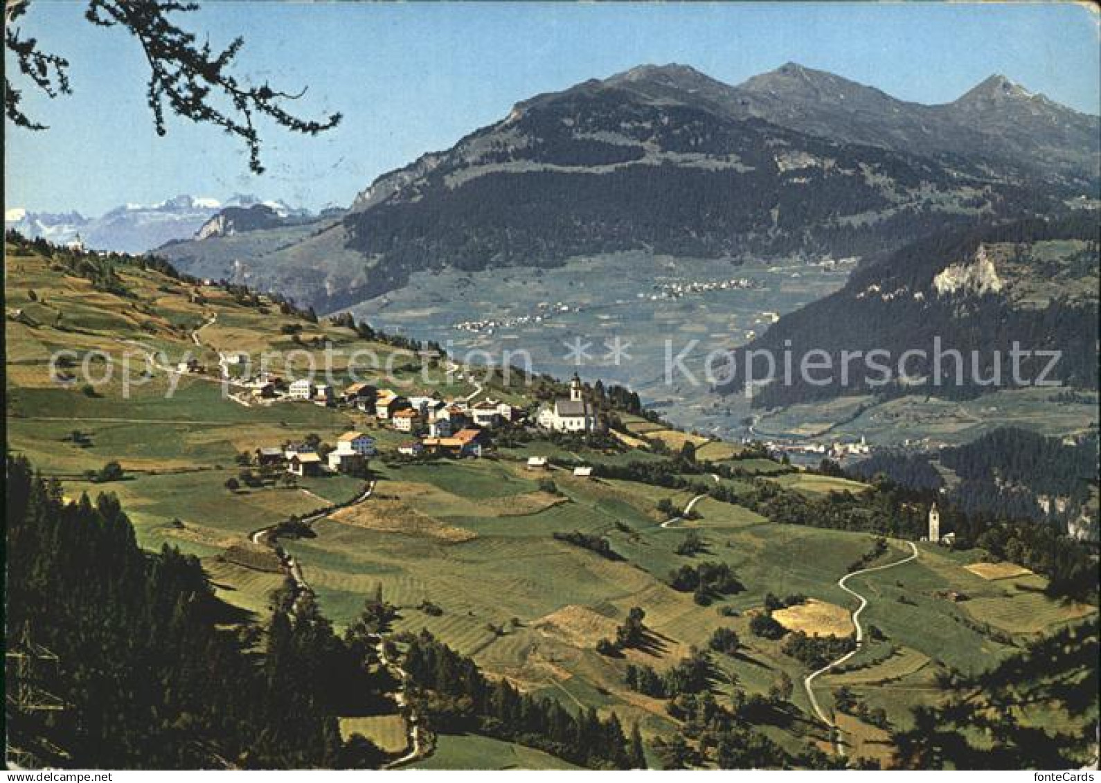 12379308 Mon Panorama Blick gegen Alvaschein Obervaz und Staetzerhorn Mon