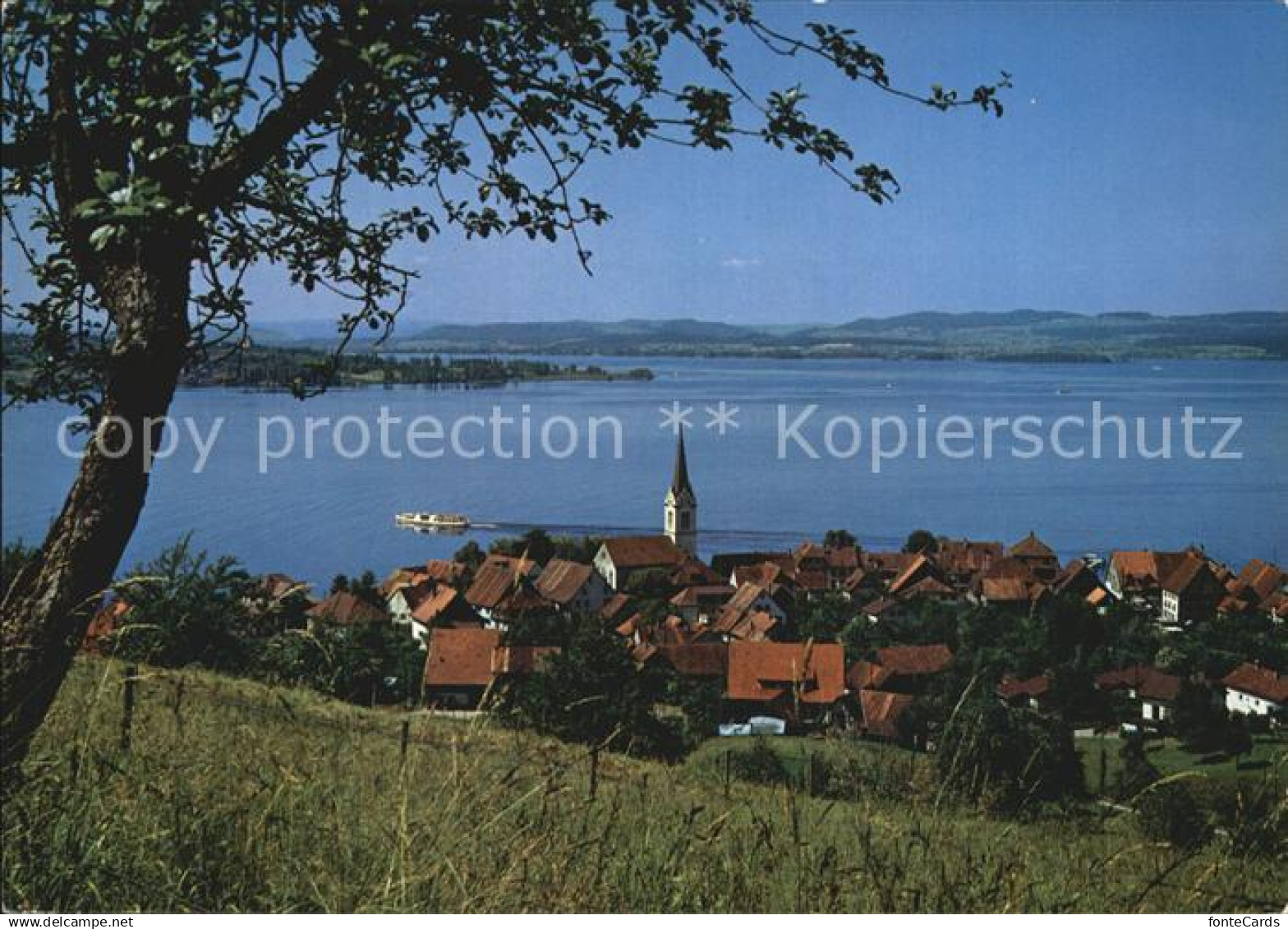 12587751 Berlingen Untersee Ortsansicht mit Kirche Bodensee Berlingen