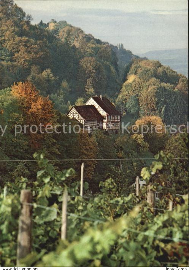 12588045 Salenstein TG Hinterburg Salenstein