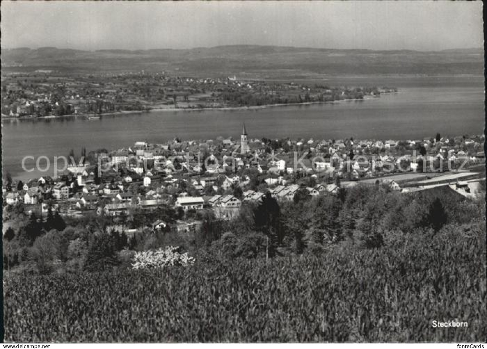 12588531 Steckborn Untersee Panorama Bodensee Steckborn